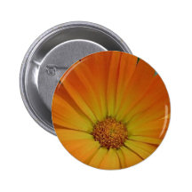Orange Gerber Daisy Buttons