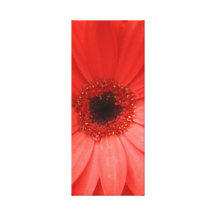orange gerbera daisy 2 of 3 stretched canvas print