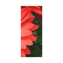 orange gerbera daisy 3 of 3 stretched canvas print