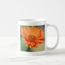 Orange Gerbera Daisy Coffee Mug