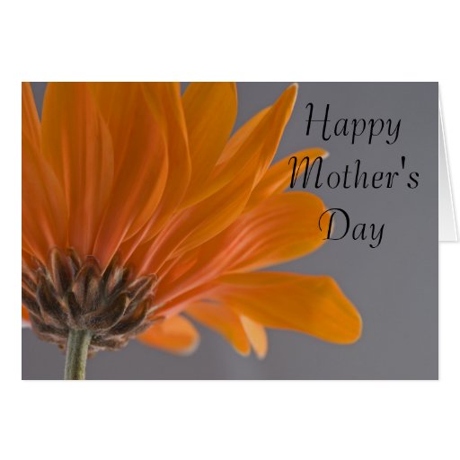 Orange Gerbera Daisy Mothers Day Card