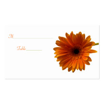 Orange Gerbera Daisy Special Occasion Place Card Business Cards