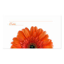 Orange Gerbera Daisy Special Occasion Place Cards Business Card Templates