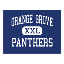 Orange Grove Panthers Middle Tucson Arizona Postcards