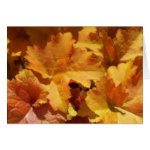 Orange Leaf Greeting Cards