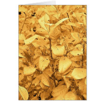 orange leaves greeting cards