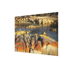 Orange Lichen on Rocks, Binalong Bay, Bay of Gallery Wrap Canvas