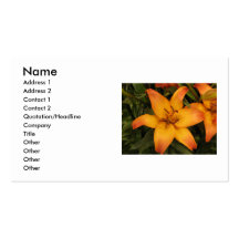 Orange Lily Business Card
