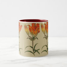 Orange  Lily Mug