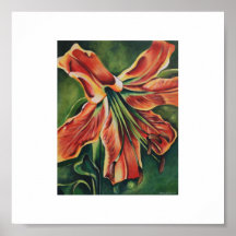 Orange Lily Print
