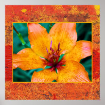 Orange Lily Print