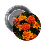 Orange Marigold Flowers  Button