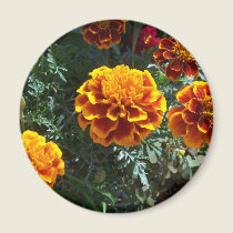 Orange Marigolds magnets