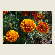 Orange Marigolds posters