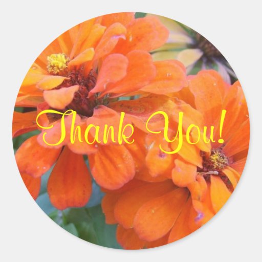 Orange Marigolds Sticker