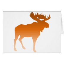Orange Moose Cards