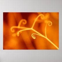 Orange plant abstraction poster