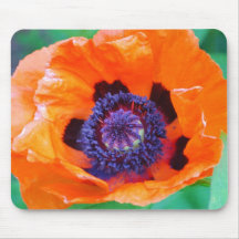 Orange Poppy Flower  Mouse Pad