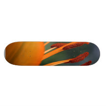 Orange Red Flower Hibiscus Skate Boards