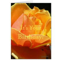 Orange Sun Rose Greeting Cards