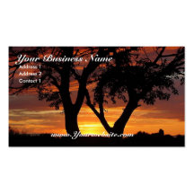 Orange Sunset Business Card