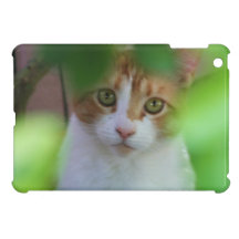Orange Tabby Cat ipad Mini Case