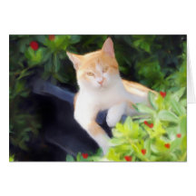 Orange Tabby Cat Notecard for any Occassion