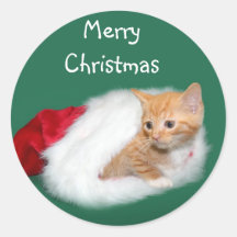 Orange tabby Santa hat Stickers