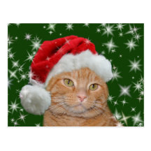Orange tabby Santa Postcards