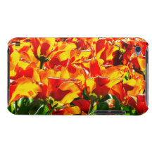 Orange Tulip IPod Touch Case-Mate Case