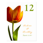 Orange Tulip Table Number Card Post Cards