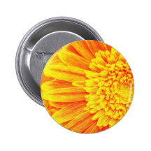 orange yellow gerber daisies pinback buttons