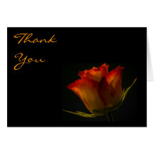 Orange & Yellow Rose Thank You Card