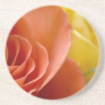 Orange & Yellow Roses Drink Coasters