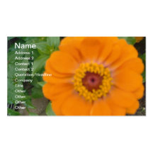 Orange Zinnia Business Card Template