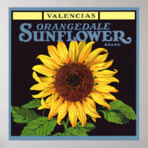 Orangedale Sunflower Vintage Fruit Crate Label Art Poster