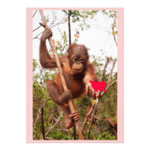 Orangutan Valentine Cards Invite