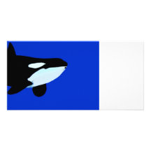 orca killer whale underwater graphic photo cards