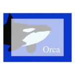 orca killer whale underwater graphic txt invite