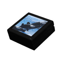 Orca Trio Gift Box