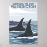 Orca Whales #1 - Whidbey, Washington Posters