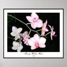 Orchid 003 poster