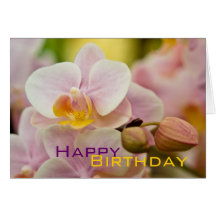 Orchid • Birthday Card