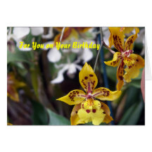 Orchid Birthday card