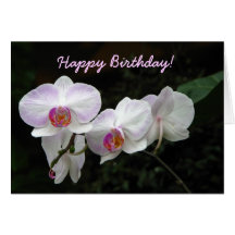 Orchid Birthday Greeting Card