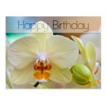 Orchid • Birthday Postcard