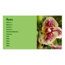 Orchid Business Card