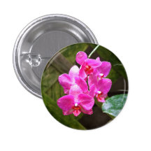 Orchid Button