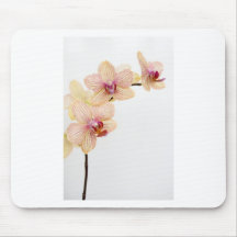 ORCHID DELIGHT MOUSE MAT