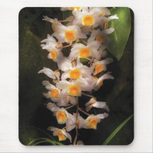 Orchid - Dendrobium Orchid Mousepads